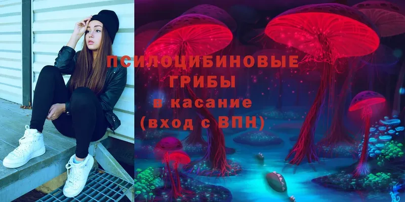 Псилоцибиновые грибы MAGIC MUSHROOMS  где продают наркотики  Сарапул 